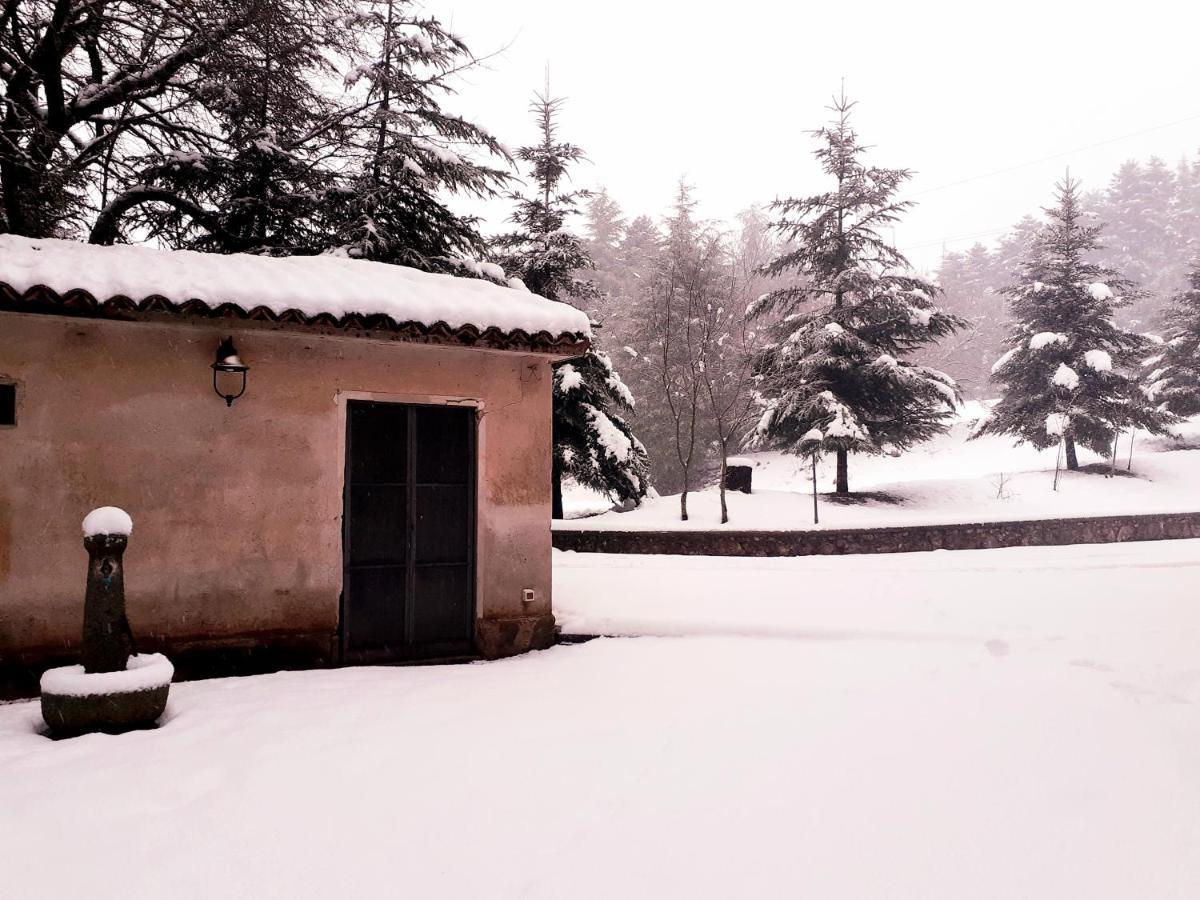 Casa Alegria Bed and Breakfast Morano Calabro Buitenkant foto
