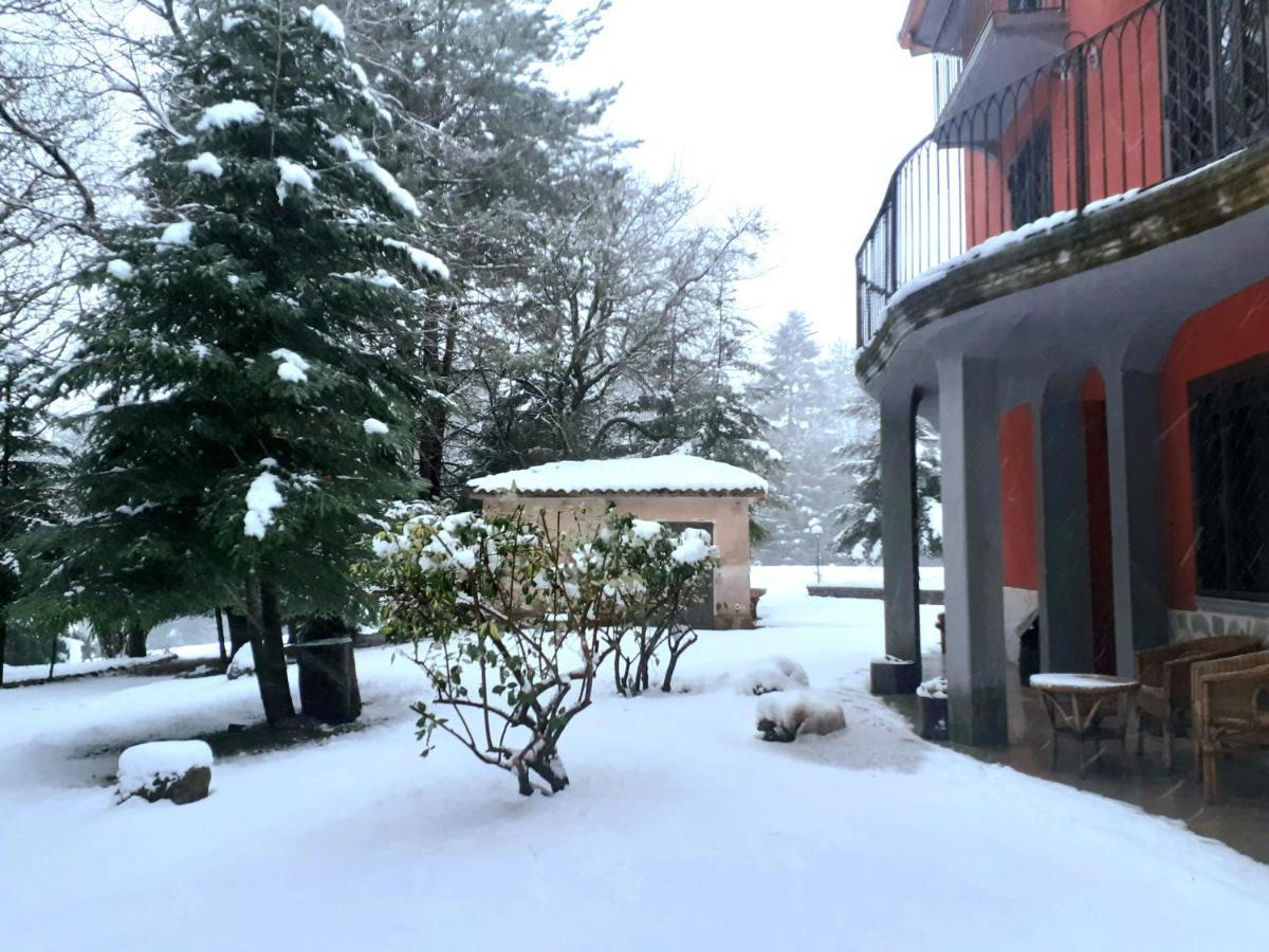 Casa Alegria Bed and Breakfast Morano Calabro Buitenkant foto